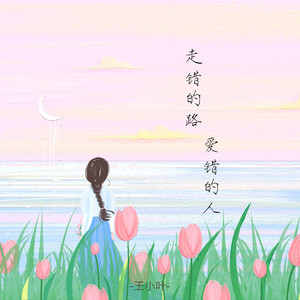 走错的路爱错的人 (DJ版)