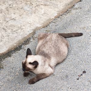 想和你见面