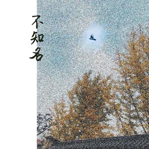 不知名流浪歌手