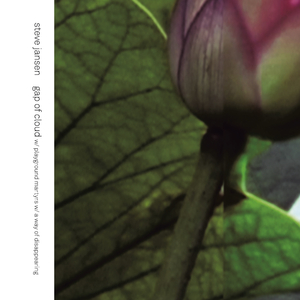 Gap Of Cloud / A Way Of Disappearing / Playground Martyrs