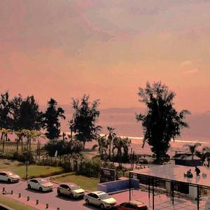 想和你一起去远方