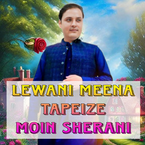 Lewani Meena Tapeize
