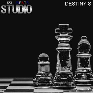 Destiny S