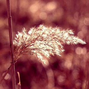 ぎゅっとしたまま（女声版）