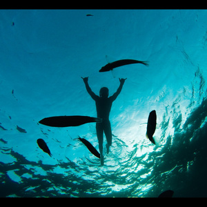 Drown