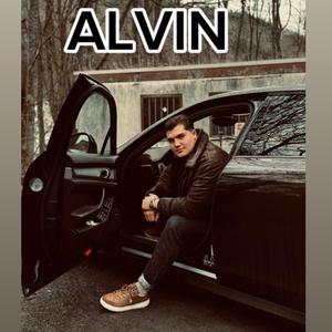 ALVIN - Întoarce turma