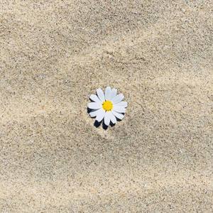 Impossibile Somnium