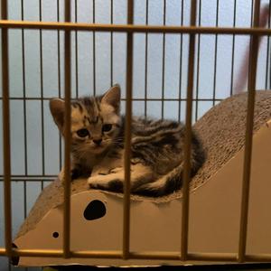 好一点（don't emo)