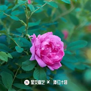 日月来回东西转