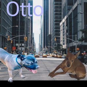Otto