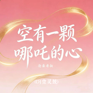 空有一颗哪吒的心(DJ空灵鼓)