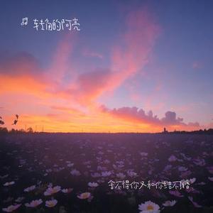 舍不得你又和你结不了婚