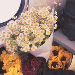 解药【温柔女生版】（翻自 来一碗老于）