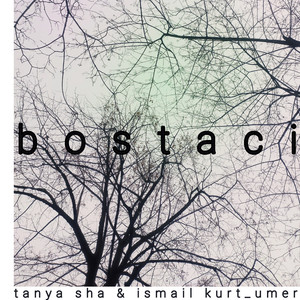 Bostaci