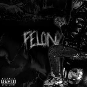 FELONY
