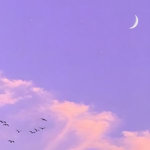 你是我唯一的执着