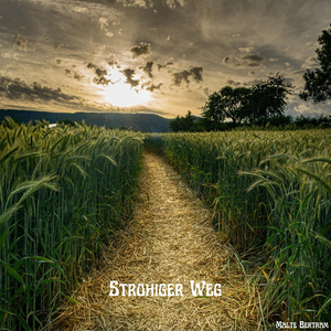 Weg des Entdeckens