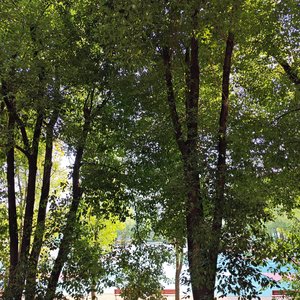 失望是慢性病 发作时要人命