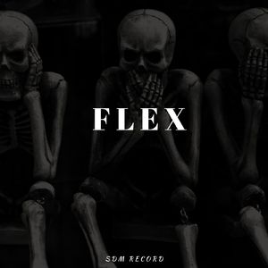 Flex (Remix)