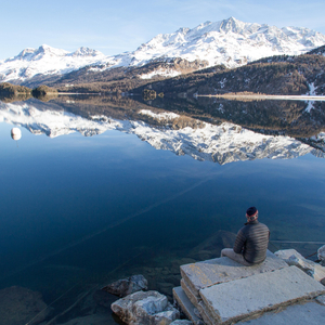 Pájaros Por La Mañana