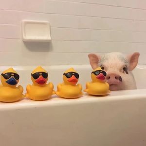 芳芳专属—小猪佩鸭今年一定发（Gl 胡桃里音坊__DJ陶子 remix）