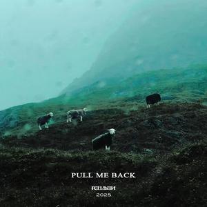 PULL ME BACK