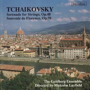 Serenade for String Orchestra in C Major, Op. 48: I. Pezzo in forma di sonatina