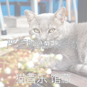 温和睡猫梦想