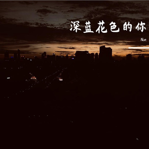 深蓝花色的你