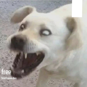 [免费可商用]安静抒情RnB吉他beat