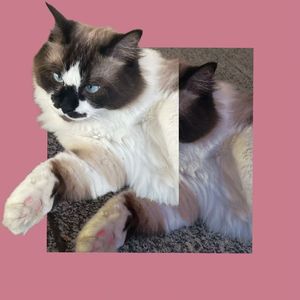 Came a long way（Prod.BubbleboyXRoccky）