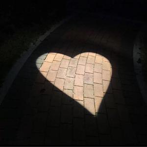 2ML（翻自 江辰）