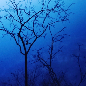 A. Järnefelt: Berceuse