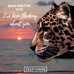 I've Been Thinking About You (Original Mix)
