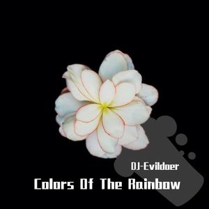 Sevenn-Colors Of The Rainbow（DJ-Evildoer remix）