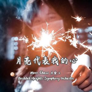 月亮代表我的心