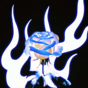 雪玫瑰（Prod by N2U_Beatz）