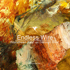 Endless Wire