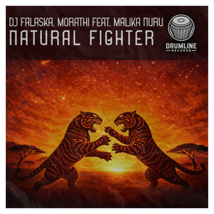Natural Fighter (Instrumental)