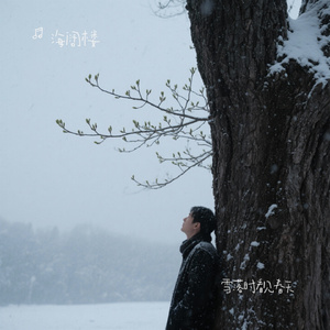 雪落时看见春天