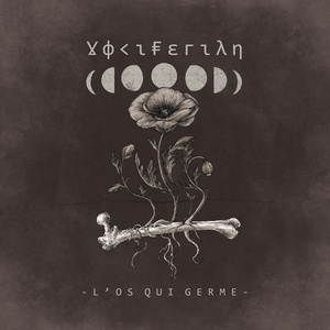 Écorce Des Astres [Li Neûre Poye]