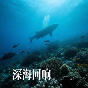 深海回响