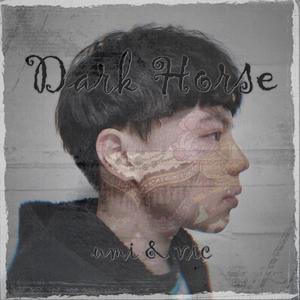 Dark Horse（翻自 Katy Perry）