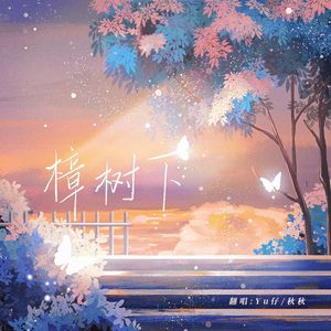 樟树下（cover陈亦洺/沈雾敛）