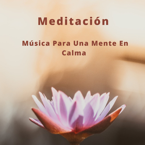 Sonidos De Agua Para Dormir