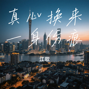 真心换来一身伤痕