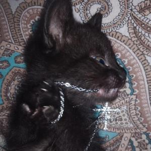 sitting thinking waiting living (feat. Jahumbis & K-Quick)