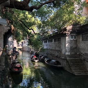 夏天走得慢 可你却走得突然