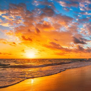 写在风中的信(抖音版)