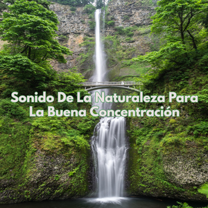 Sonido De La Naturaleza Para La Buena Concentración